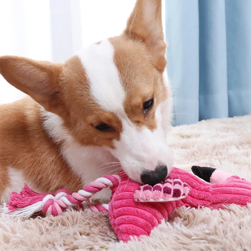 Animal Shape Squeaky Toys Plush for Dog