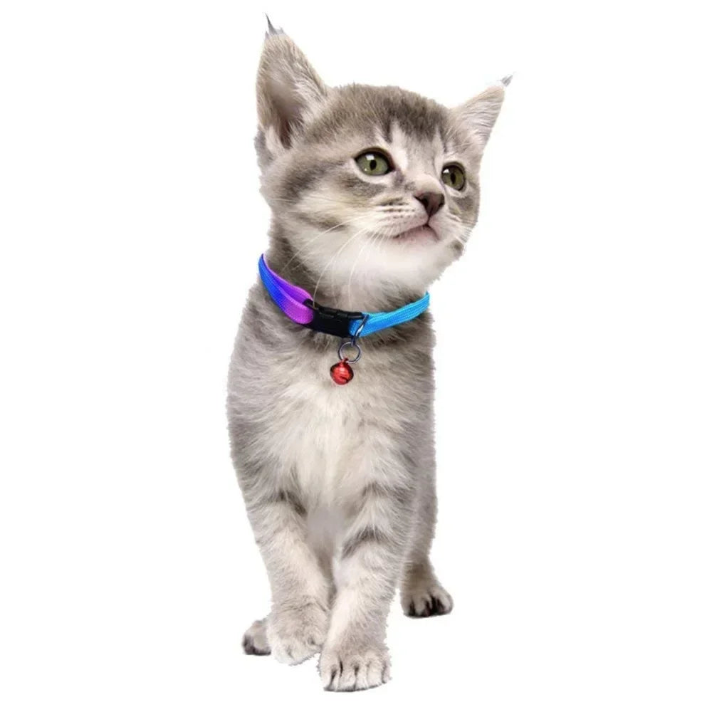 Rainbow Adjustable Cat Dog Collars