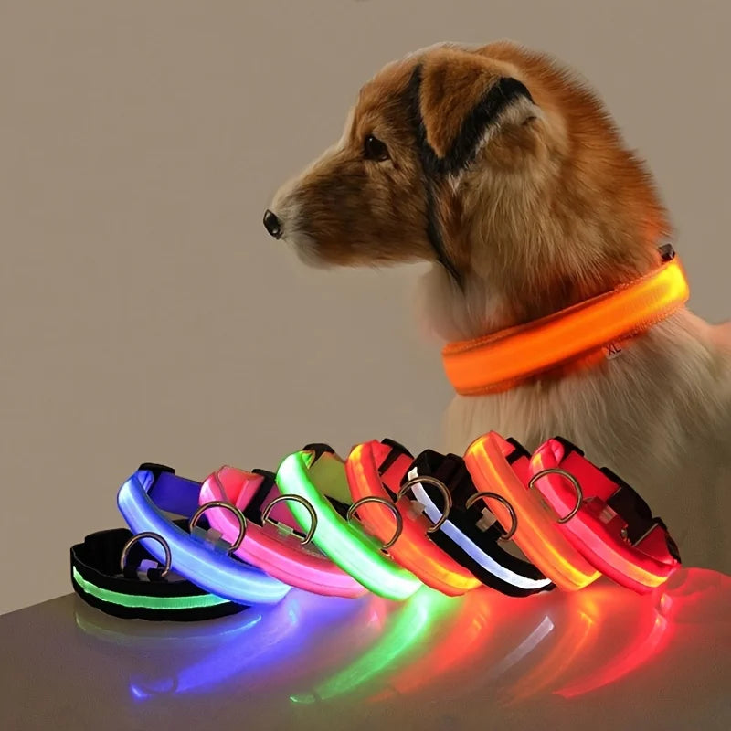 Nylon LED Night Safety Flashing Glow In The Dark, Dog Collar