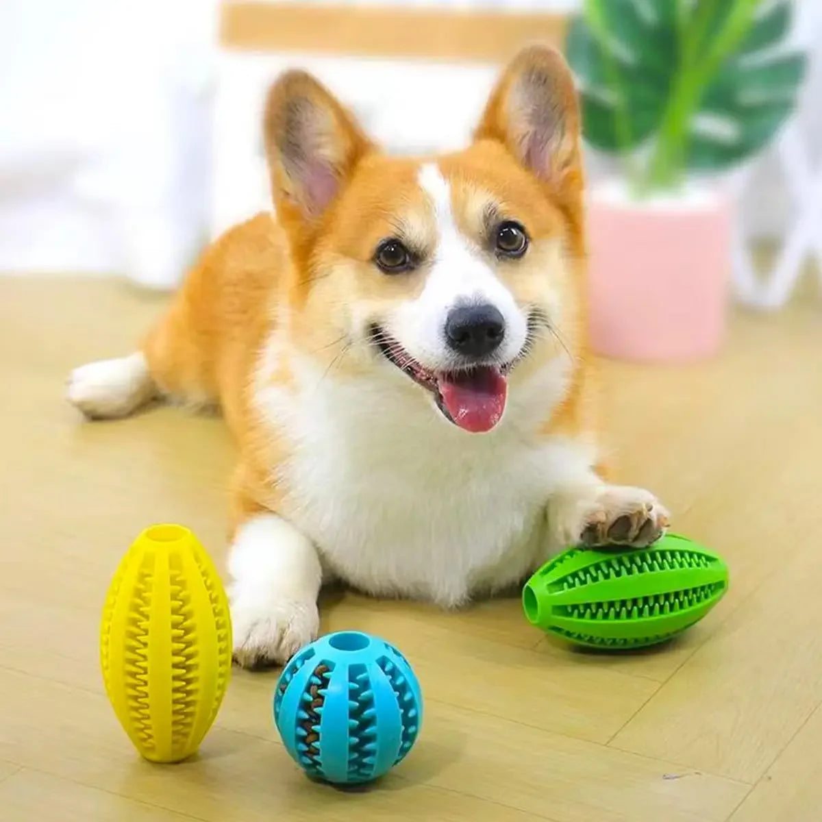 Pet Dog Chew Toys Teeth Cleaning Snack Balls