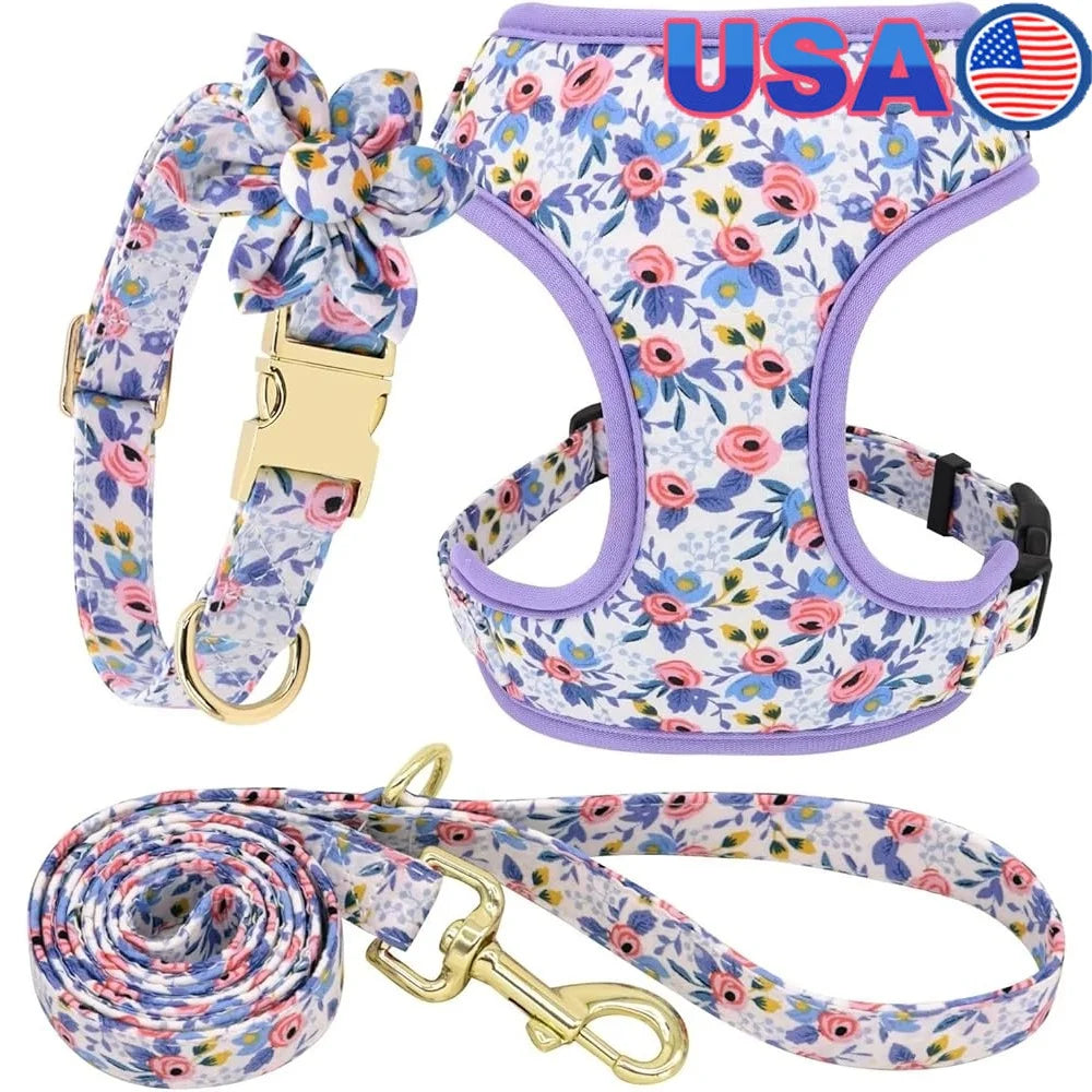 Cute Dog Harness Leash Collar
