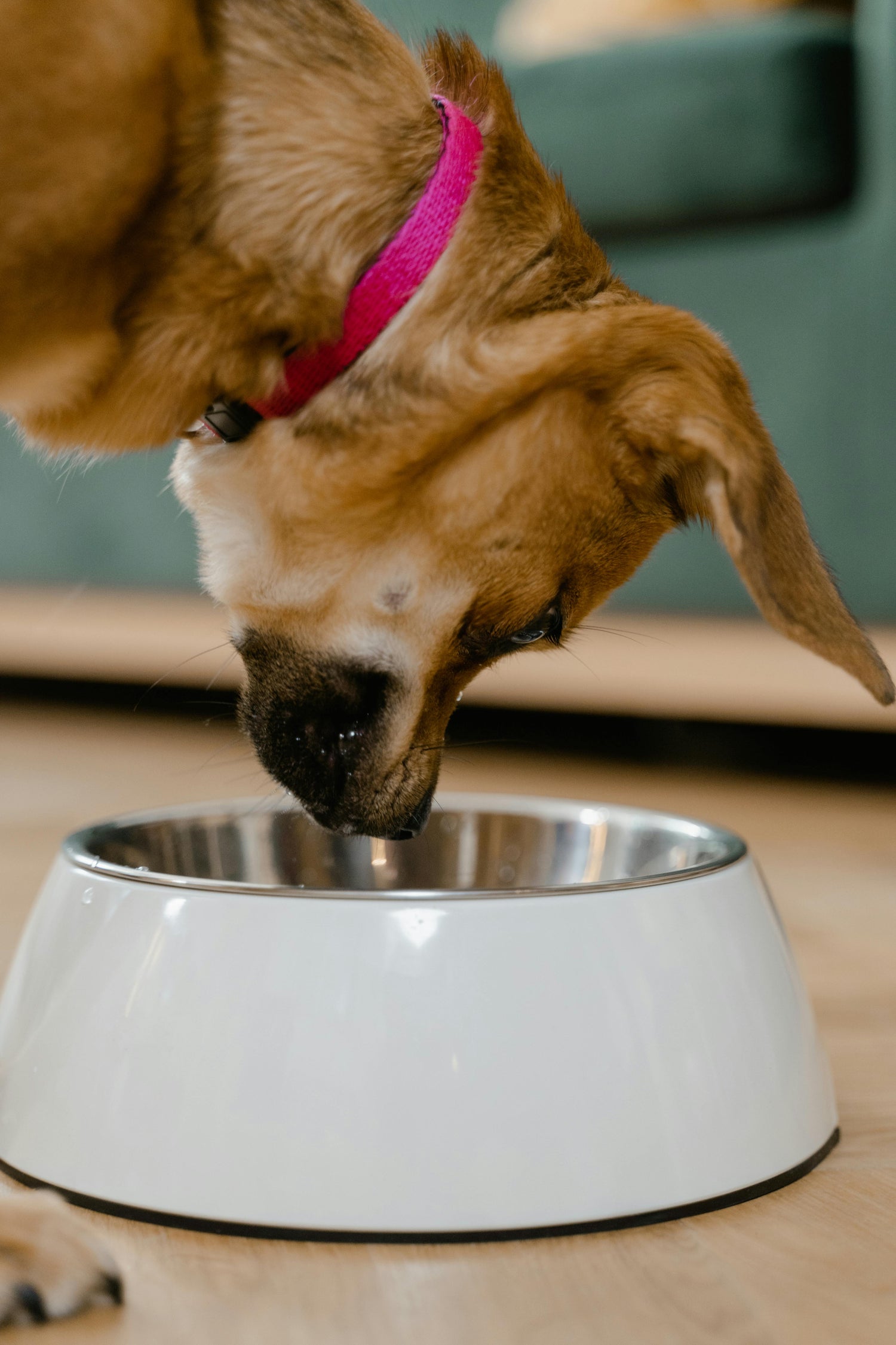 Bowls