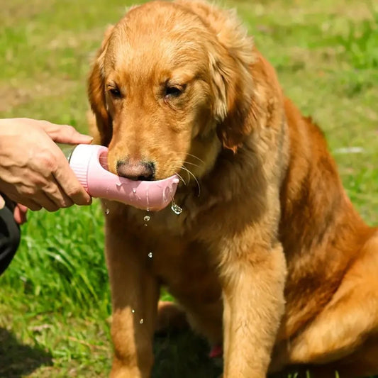 Pet Water Dispenser - Portable Collapsible Bowl
