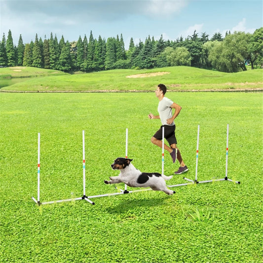 Dog Outdoor Exercise Training Set for dogs
