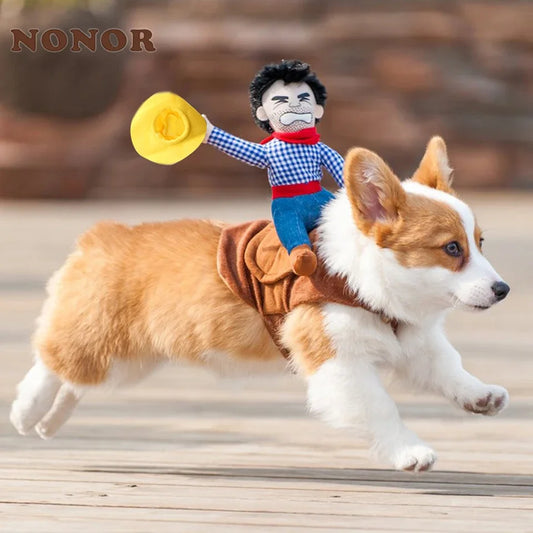 Halloween Party Dog Clothes