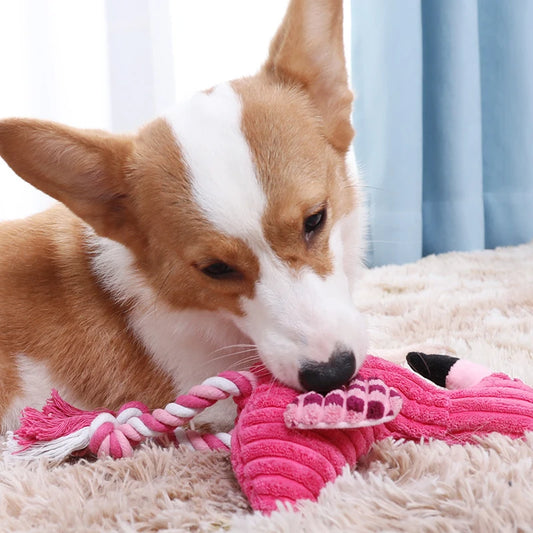 Animal Shape Squeaky Toys Plush for Dog