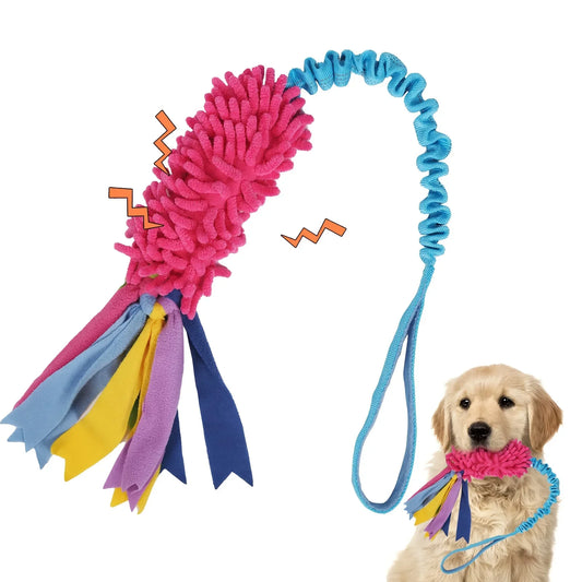 Dog Puppy Tug Squeaky Toys