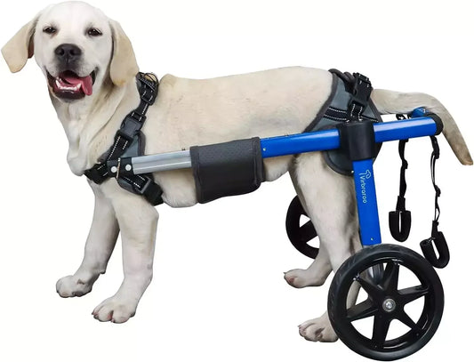 Dog Wheelchair For Back Legs