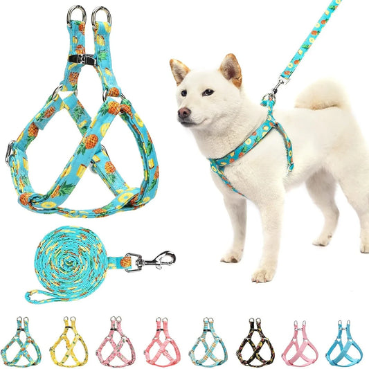 Cute Small Medium Adjustable Heavy Duty harness.