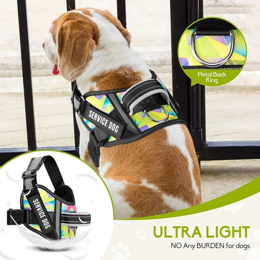 Service Dog Harness Leash Set Reflective