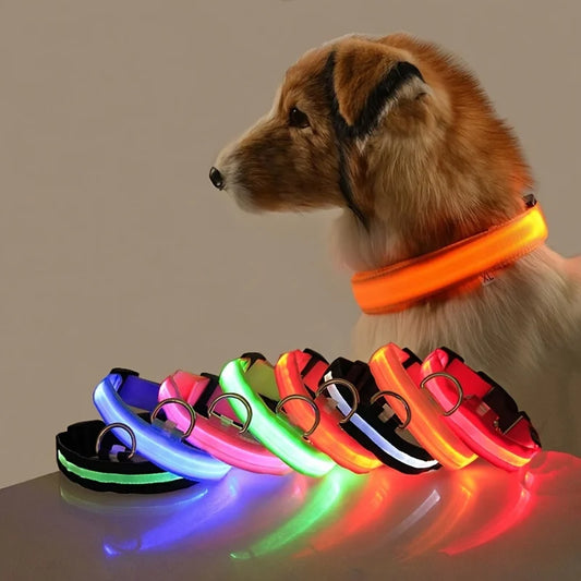 Nylon LED Night Safety Flashing Glow In The Dark, Dog Collar