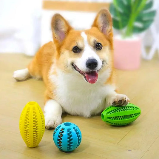 Pet Dog Chew Toys Teeth Cleaning Snack Balls