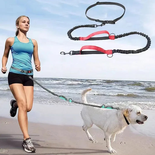 Hand Free Dog Leash for Pet Walking