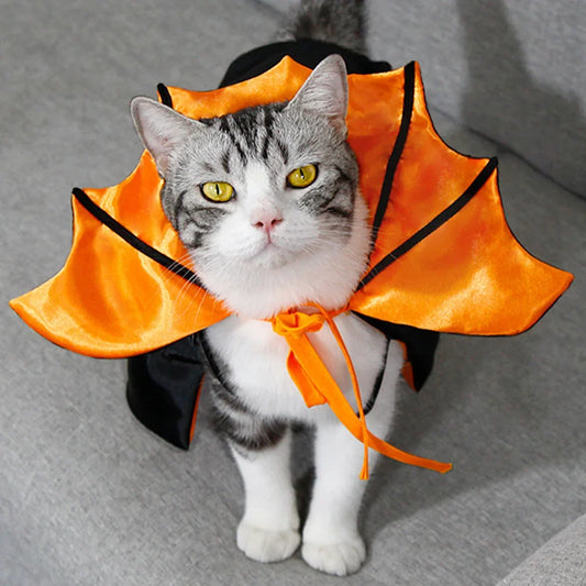 Cats Halloween Costume Stand-collar Comfortable Cat, Dress Party