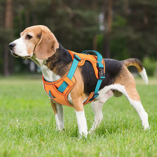 Mesh Breathable Dog Harness
