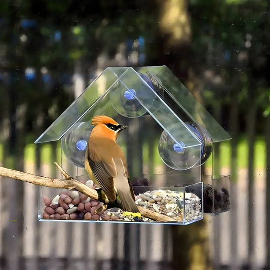 House Transparent Window Wild Bird Feeder Outdoor