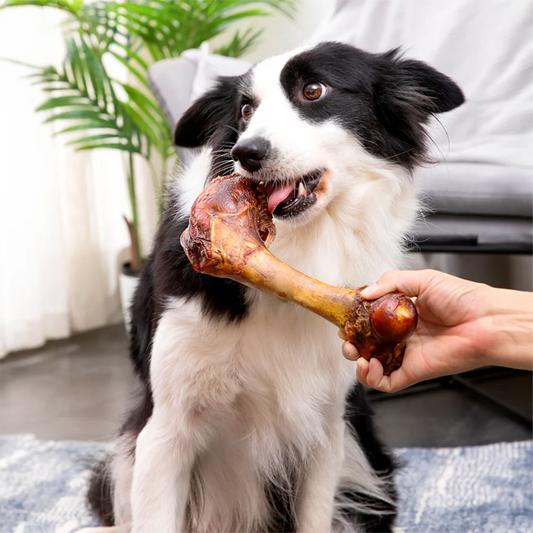 Large Cow Bone, All Natural Dog Treats, Healthy, Easily Digestible