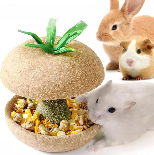 Apple Core Shaped Hamster Chew Toy