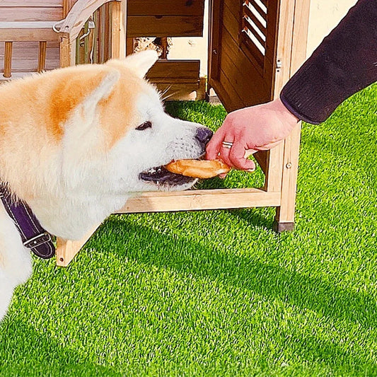 Dog Treats Long Lasting, Rawhide Chews